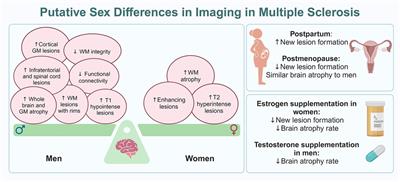 Imaging phenotypic differences in multiple sclerosis: at the crossroads of aging, sex, race, and ethnicity
